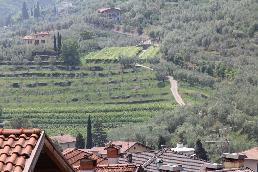 Albergo Stella D'Italia Tenno Exterior foto